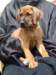 portrts8wochen069_small.jpg