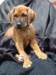 portrts8wochen070_small.jpg