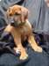 portrts8wochen071_small.jpg