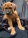 portrts8wochen072_small.jpg