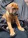 portrts8wochen073_small.jpg