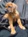 portrts8wochen074_small.jpg