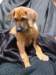 portrts8wochen075_small.jpg