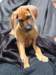 portrts8wochen076_small.jpg