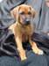 portrts8wochen077_small.jpg