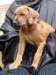 portrts8wochen078_small.jpg