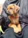portrts8wochen079_small.jpg