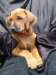 portrts8wochen080_small.jpg