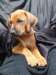 portrts8wochen081_small.jpg