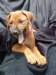portrts8wochen083_small.jpg