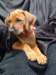 portrts8wochen084_small.jpg