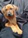 portrts8wochen085_small.jpg
