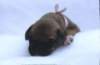 portrtsbwurf001_small.jpg