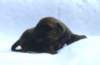 portrtsbwurf002_small.jpg