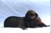 portrtsbwurf007_small.jpg