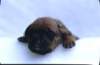 portrtsbwurf016_small.jpg