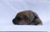 portrtsbwurf021_small.jpg