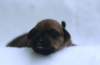 portrtsbwurf023_small.jpg