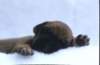 portrtsbwurf024_small.jpg