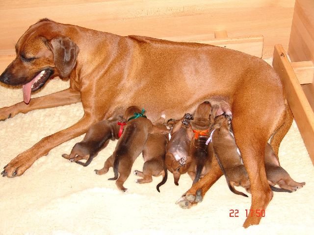 portrtsbwurf036.jpg