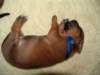 portrtsbwurf041_small.jpg