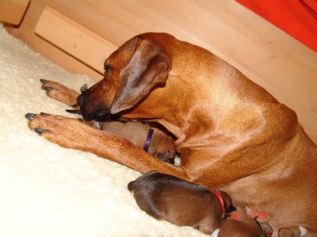 portrtsbwurf047.jpg