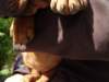 standbilder52tag025_small.jpg
