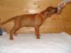 standbilder53tag001_small.jpg