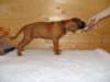 standbilder53tag003_small.jpg