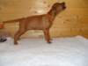standbilder53tag004_small.jpg