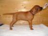 standbilder53tag005_small.jpg