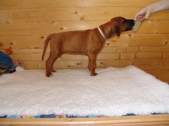 standbilder53tag006.jpg