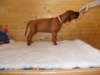 standbilder53tag006_small.jpg
