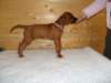standbilder53tag007_small.jpg