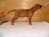 standbilder53tag008_small.jpg