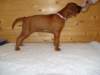 standbilder53tag009_small.jpg