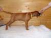 standbilder53tag010_small.jpg