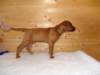 standbilder53tag011_small.jpg