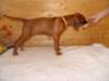 standbilder53tag012_small.jpg