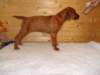 standbilder53tag014_small.jpg