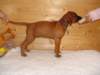 standbilder53tag015_small.jpg