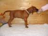 standbilder53tag016_small.jpg