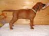standbilder53tag017_small.jpg