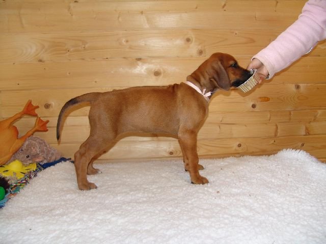standbilder53tag018.jpg