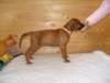 standbilder53tag018_small.jpg