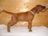 standbilder53tag019_small.jpg