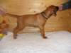 standbilder53tag022_small.jpg
