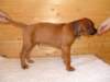 standbilder53tag023_small.jpg