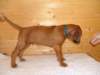 standbilder53tag024_small.jpg