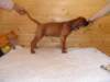 standbilder53tag025_small.jpg